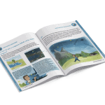 Handbuch für Ranger