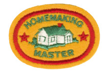 Vorderansicht eines bunten Teppichs mit dem Logo "HOMEMAKING MASTER" und einem Haus in der Mitte, ideal für Haushalts- und Heimwerkerartikel.
