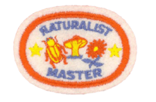 Stubenwagen-Aufnäher mit Naturallust-Motiv, Biene, Blume und Stern, ideal für Kindermode und Kleidung, langlebiges Textil-Design, hochwertiges Stickerei-Logo, perfekte Dekoration für Baby- und Kindertextilien.