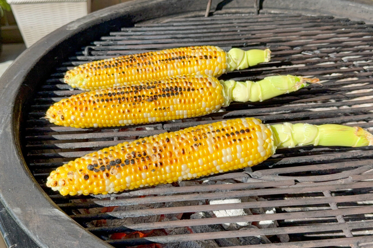 Three charred and grilled cobs of corn on a BBQ.