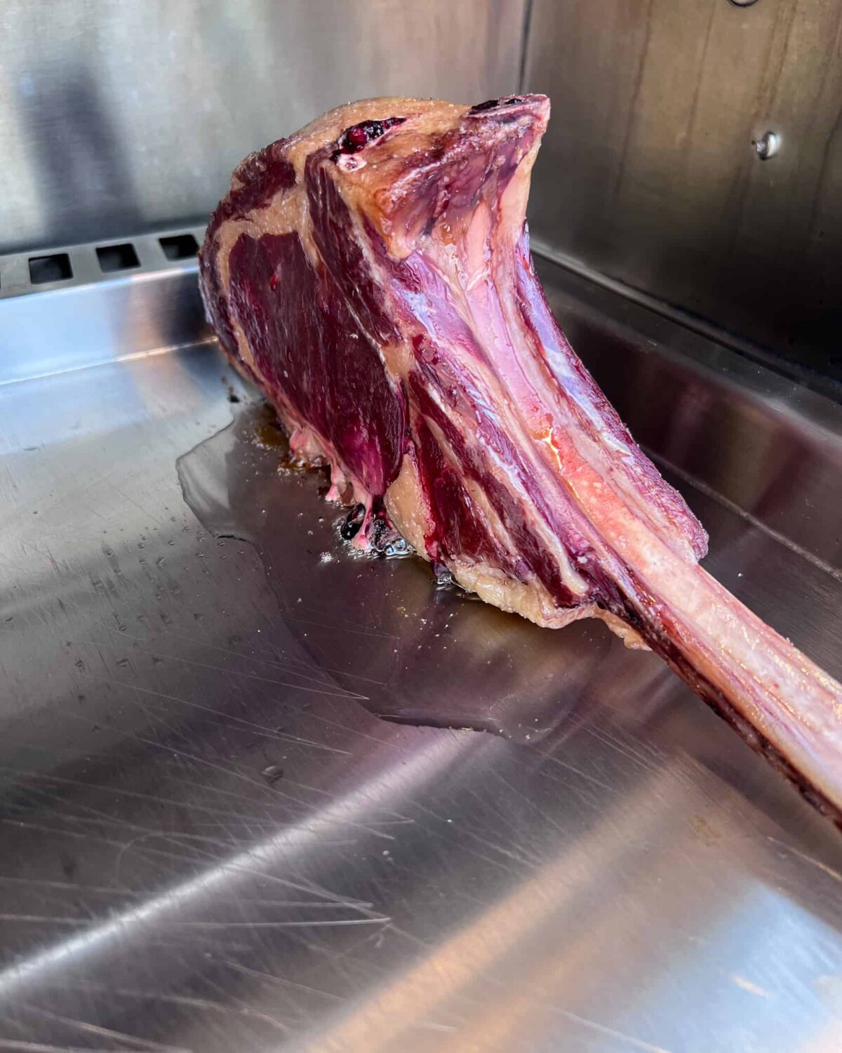 A frenched bison steak propped up so that the fat cap is on a griddle allowing the fat to render down.