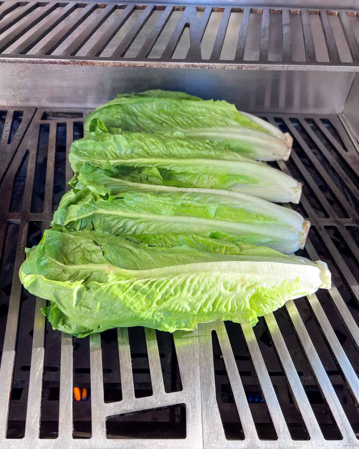 Grilling romaine lettuce, cut side down.