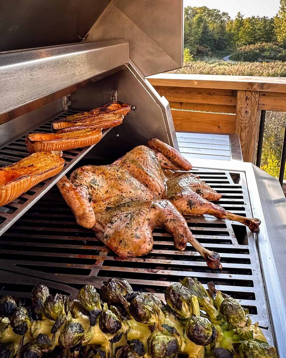 A spatchchock turkey on the grill with a stock of Brussels sprouts and hassleback squash.