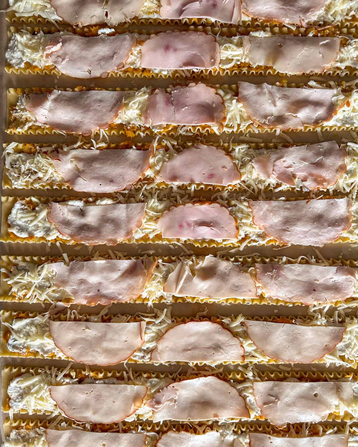 Slices of turkey topped on the lasagna noodles.