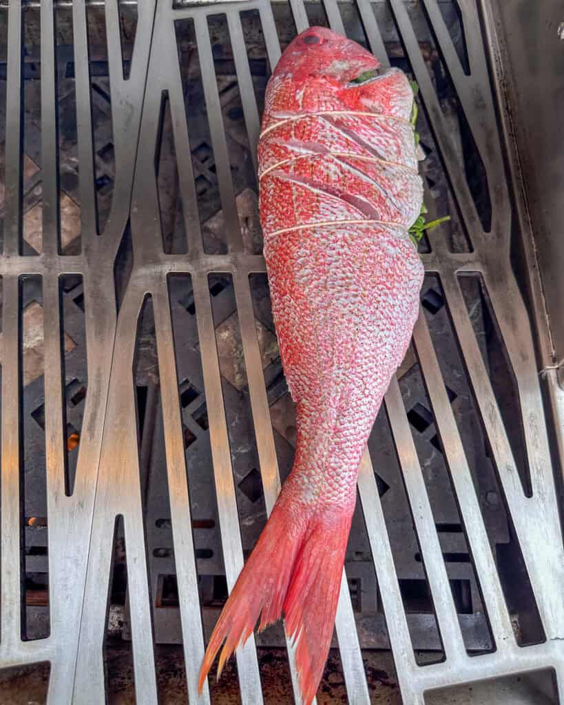 Cooking whole red snapper on grill.