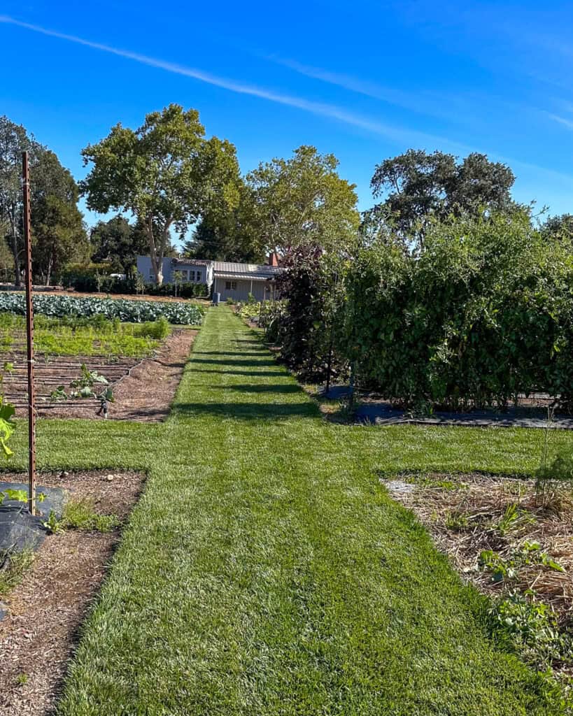 TFL Garden pathways.