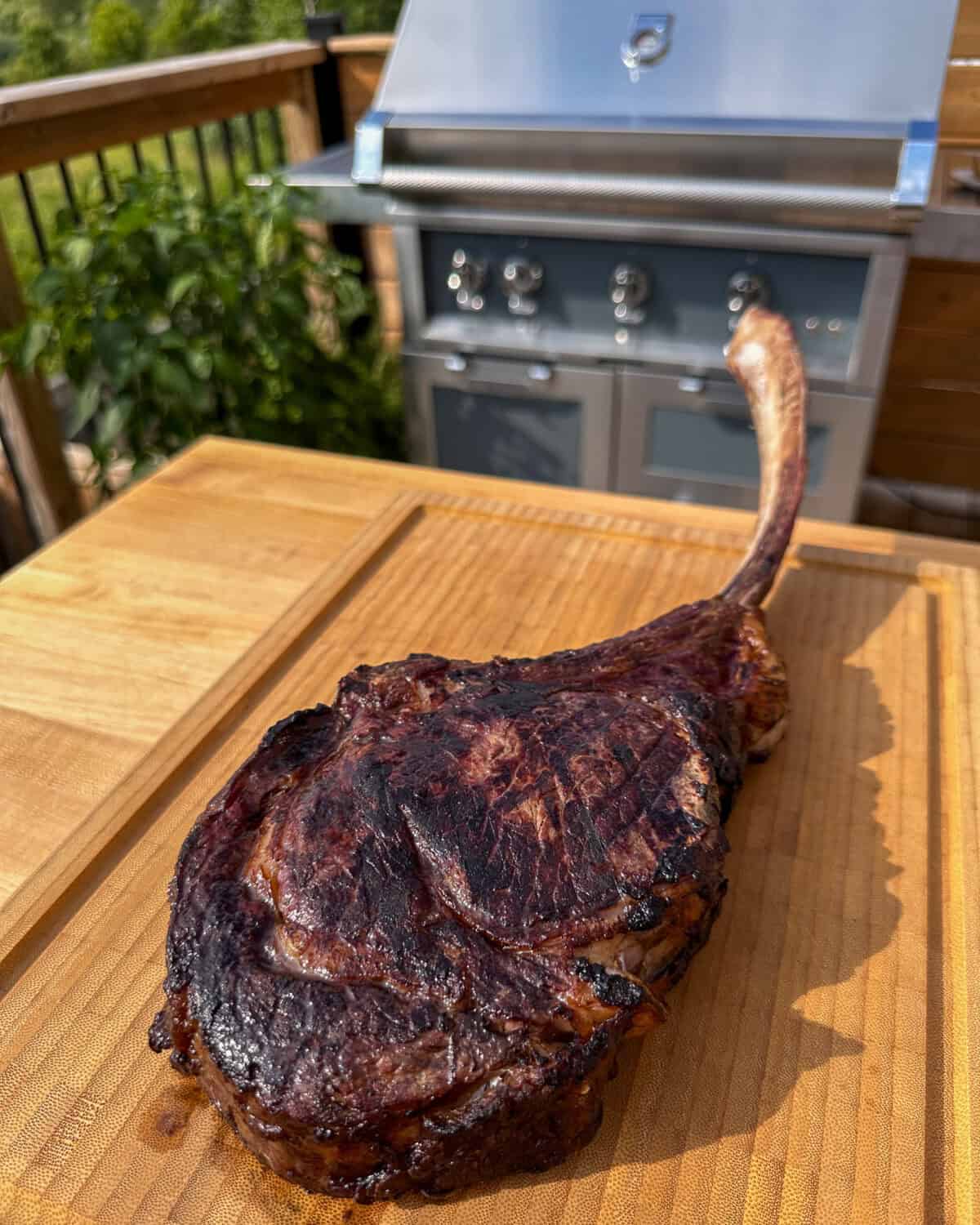 A seared frenched ribeye with a grill in the background.