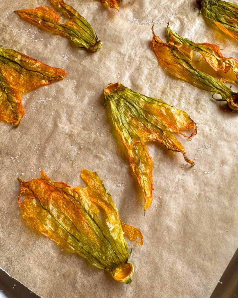 Crispy, sugared zucchini blossoms just out of the oven.