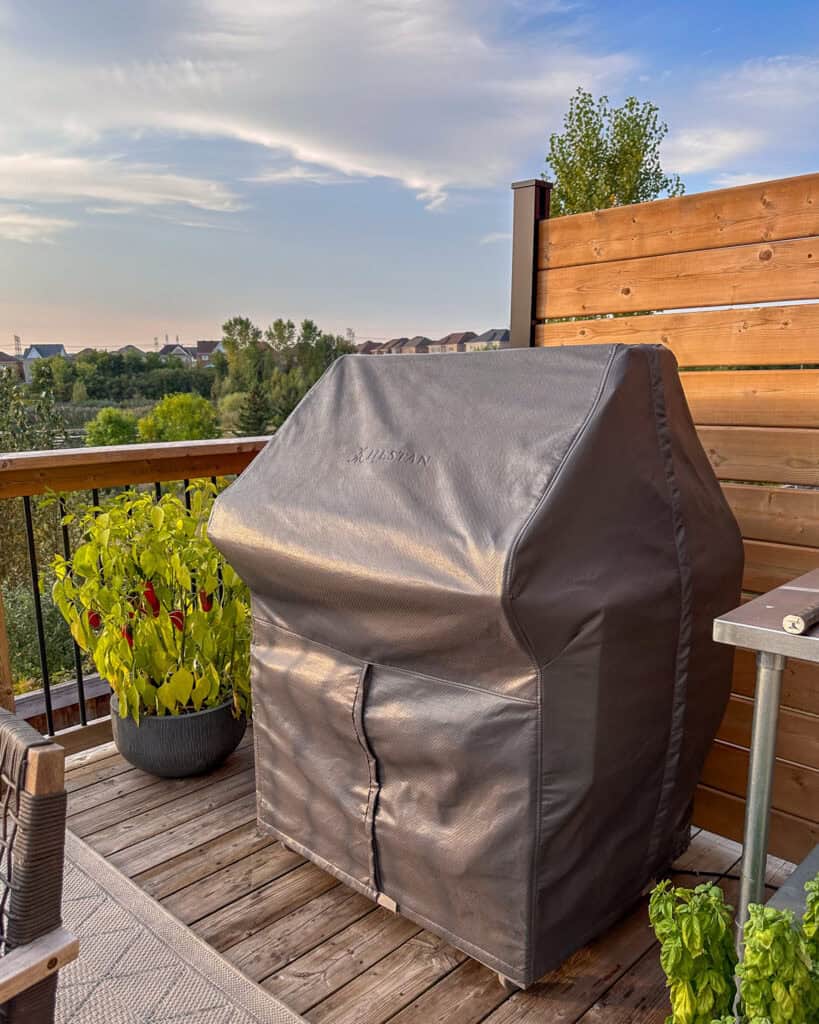 How to Clean Your Gas Grill Like a Pro - grill cover side view