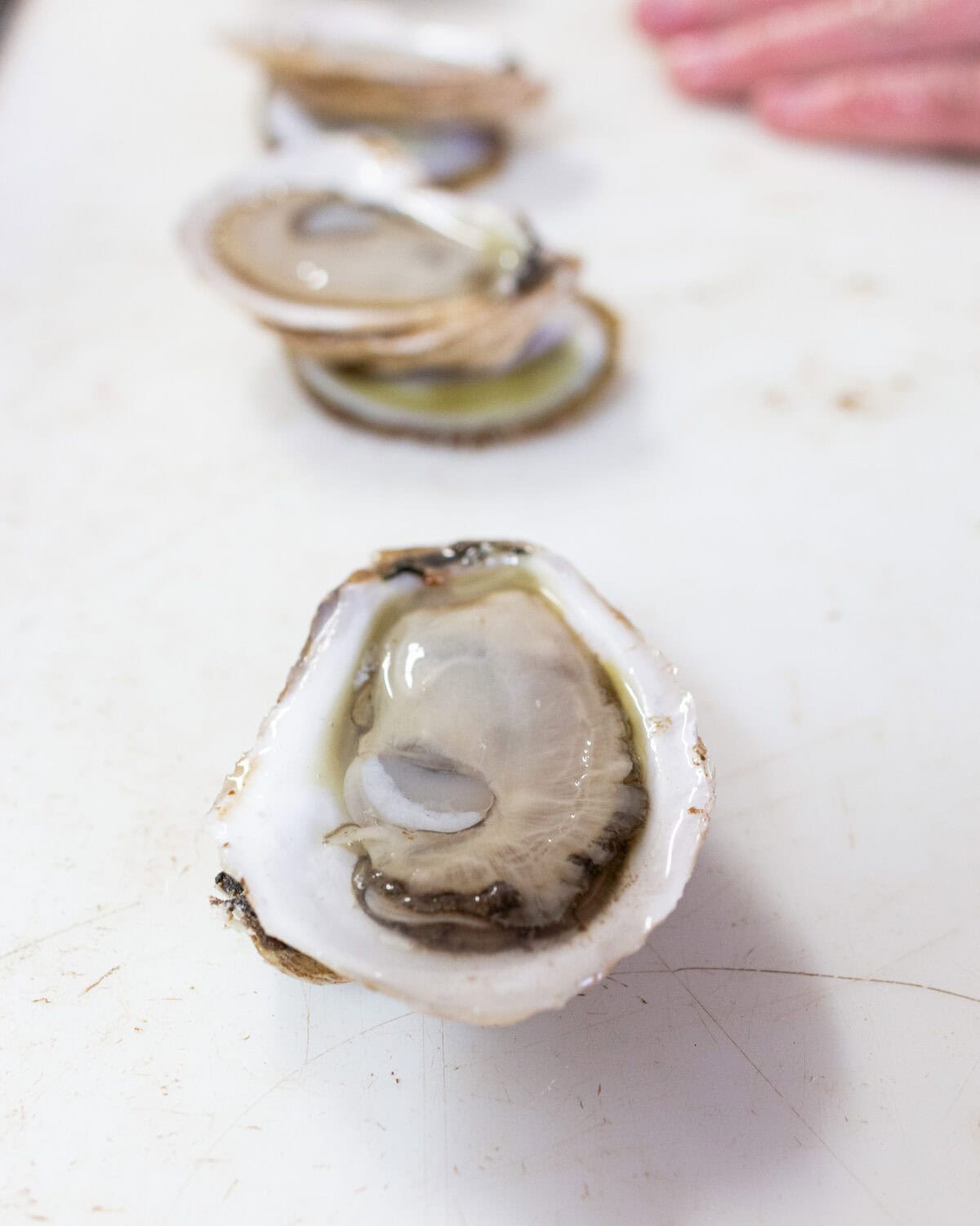 Shucked raspberry point oysters.