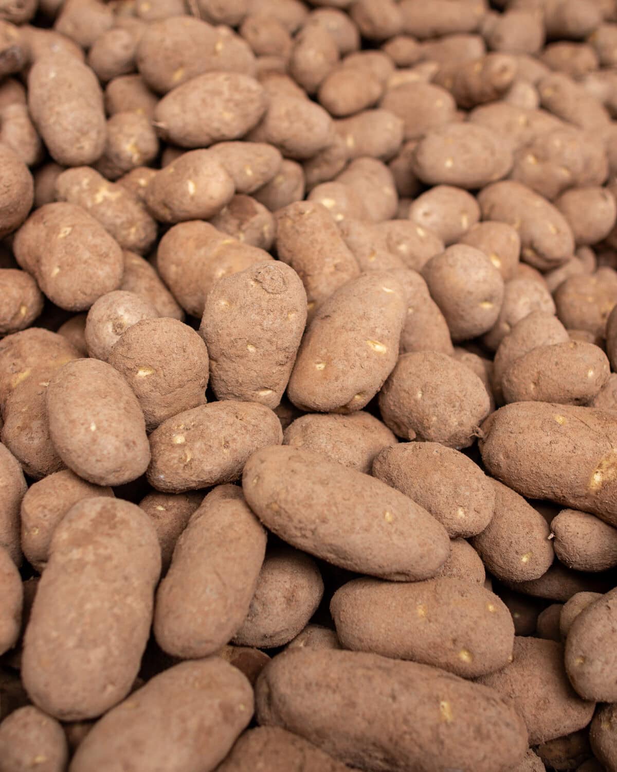 A close up of potatoes.