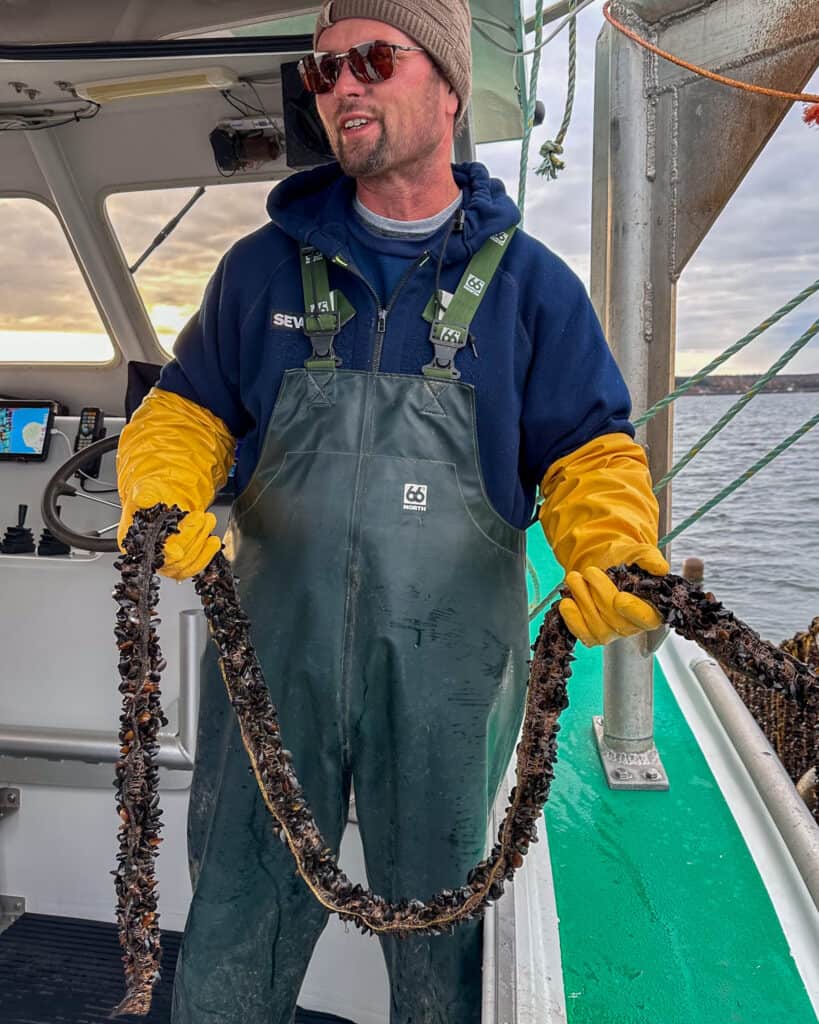 Mussel farmer show how they use the sustainable longline method.