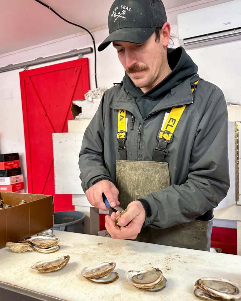 Discover Canada’s Food Island - how to shuck oysters.