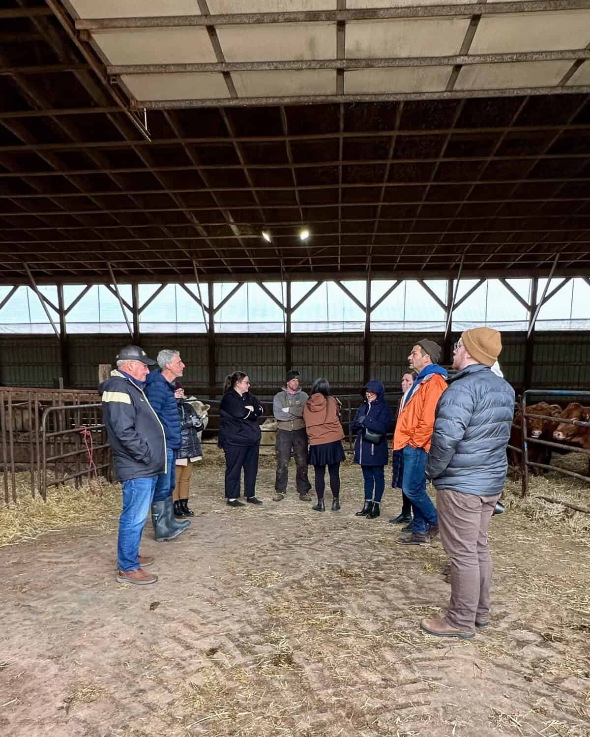 Listening to David and Brett about beef farming.