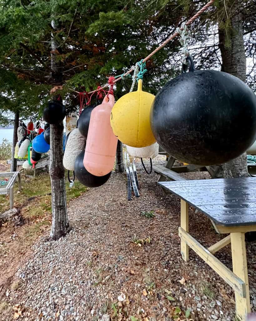 A collection of buoys strung up in PEI. Buoy art .
