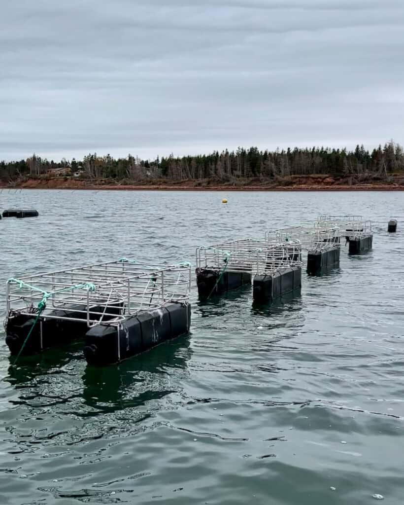 PEI oyster storage pods on an oyster farm.