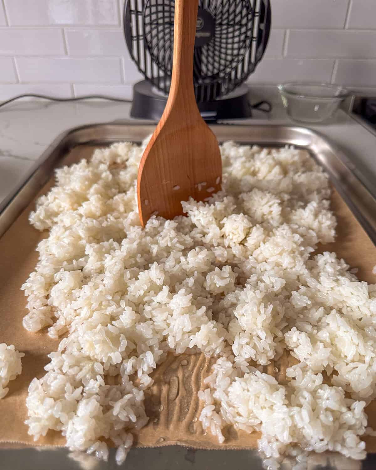 Take the sheet pan out of the fridge and place it in front of the fan.