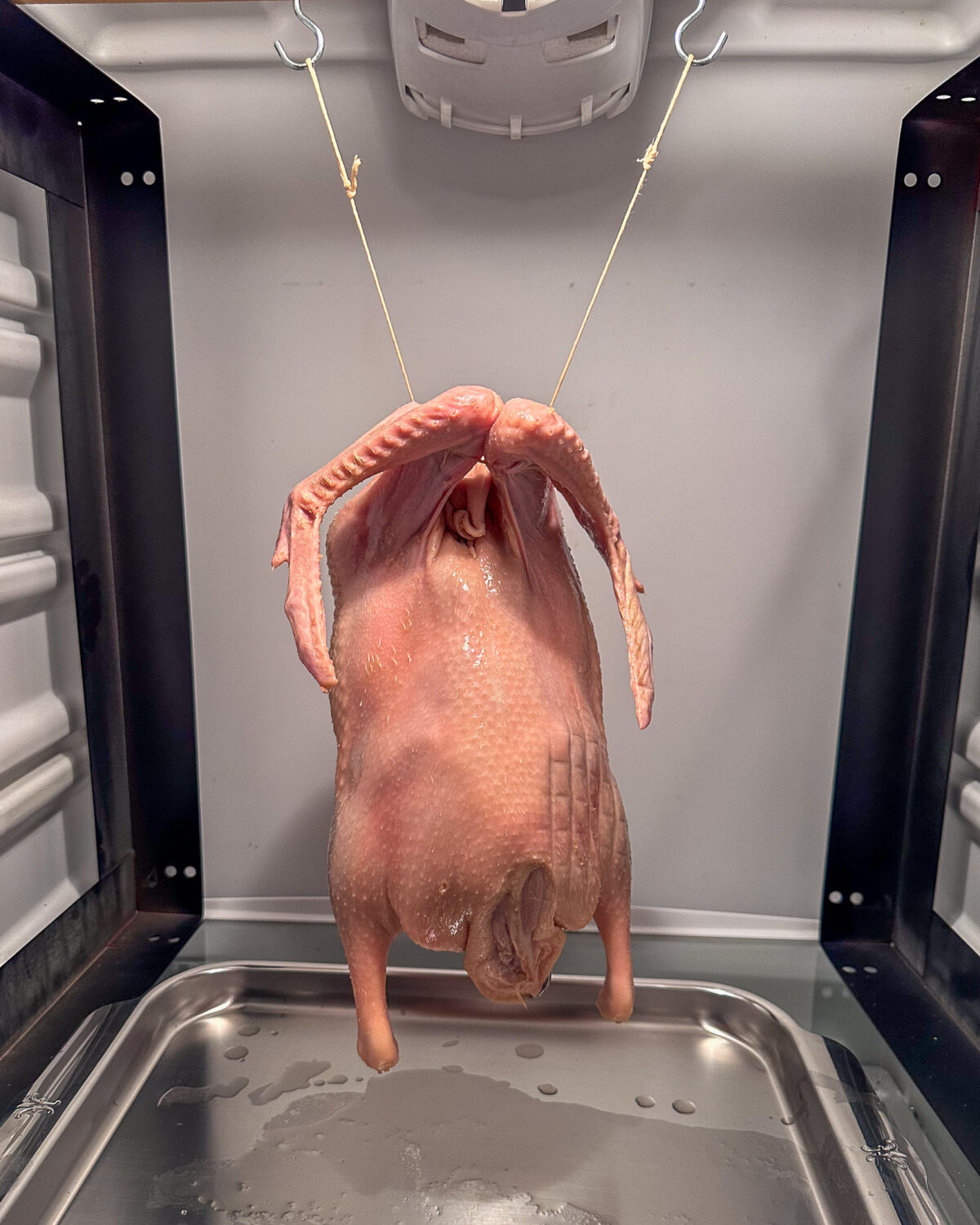 Hang the duck in the fridge over a large sheet pan or roasting tin to allow all sides of the duck to dry completely.