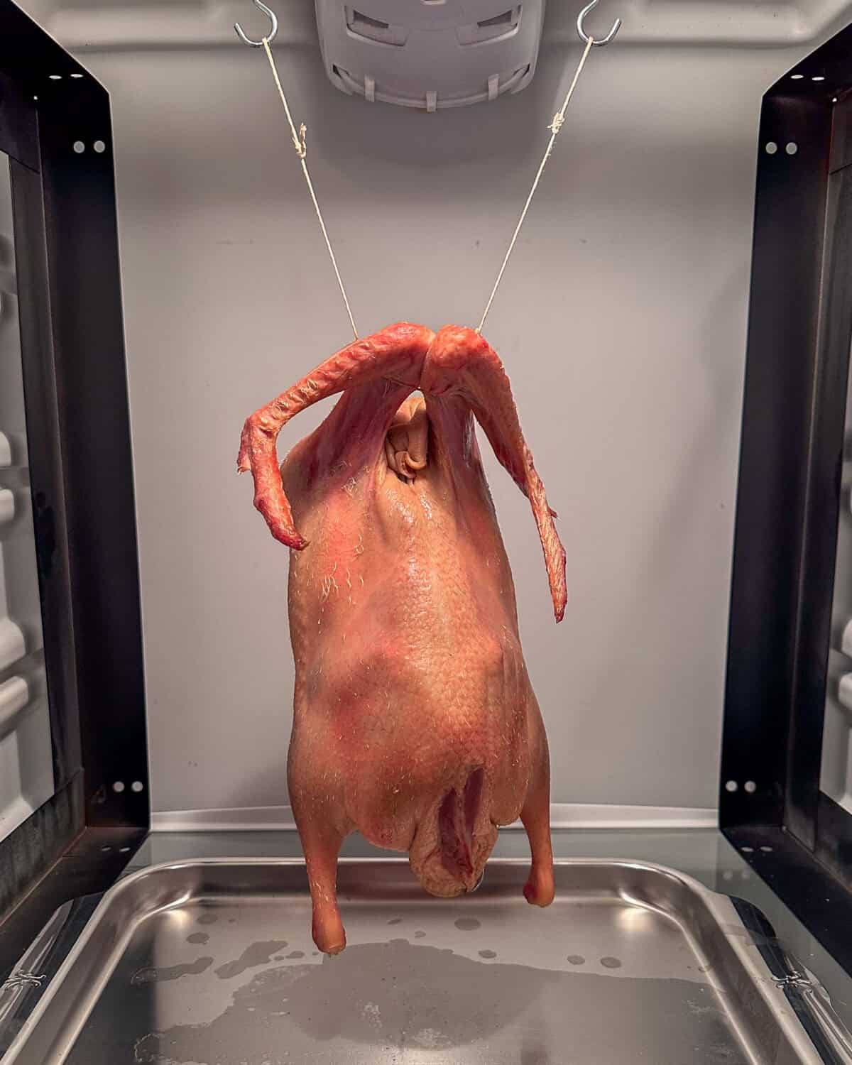 Dry the Peking Duck by hanging it in a fridge for 48 hours.