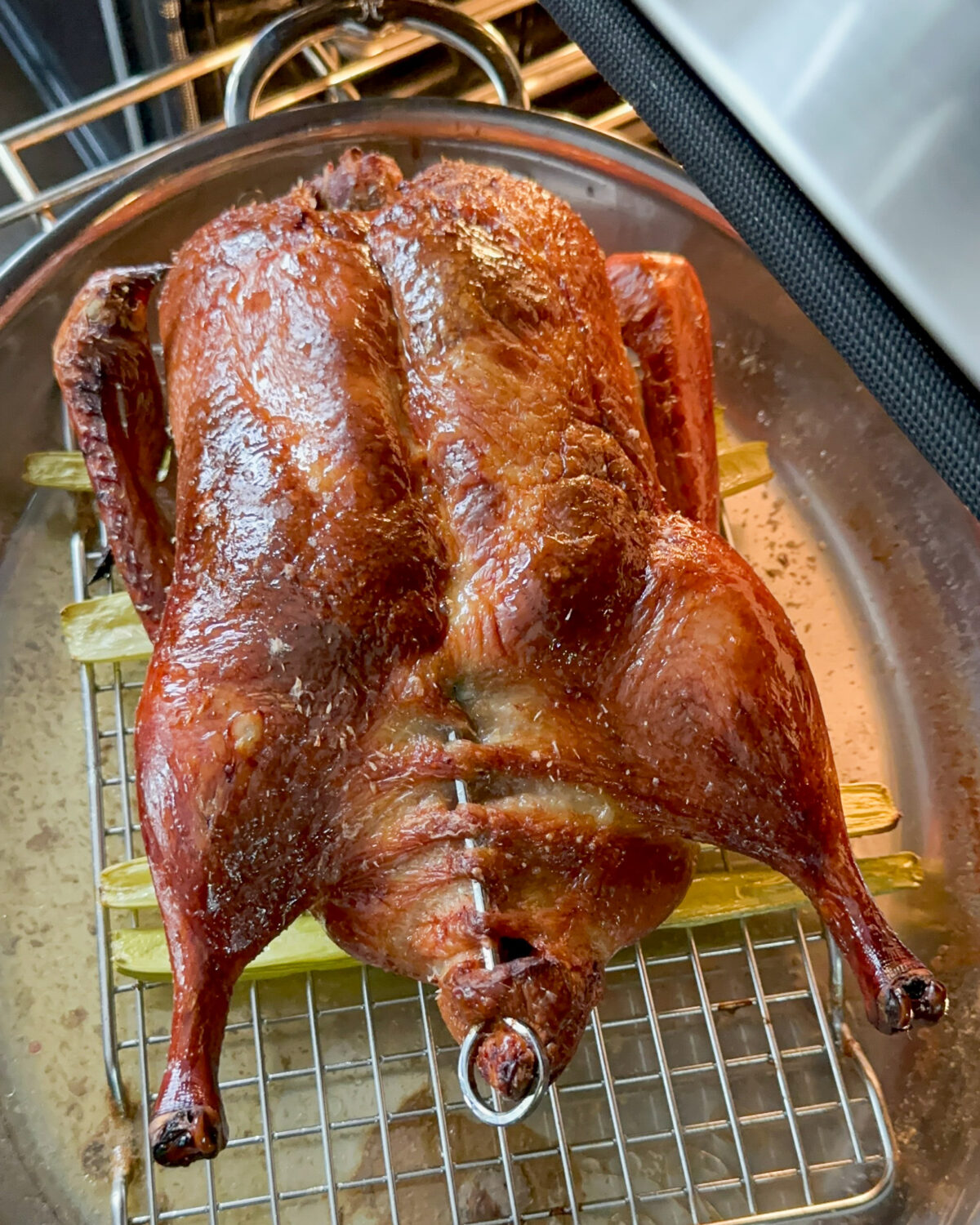 A beautiful crispy skin duck (Peking style) coming out of the oven.