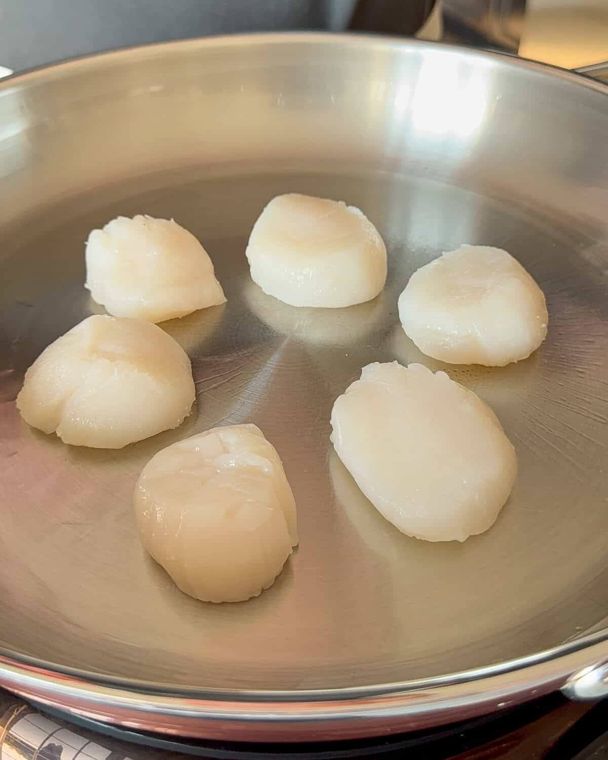Six scallops in placed in a pan to get seared.