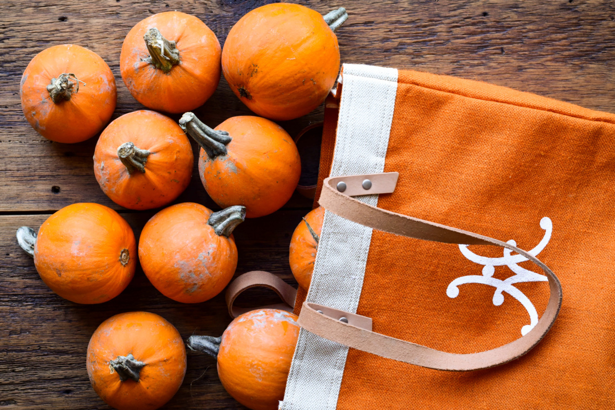 Mini pumpkins and an orange market bag.