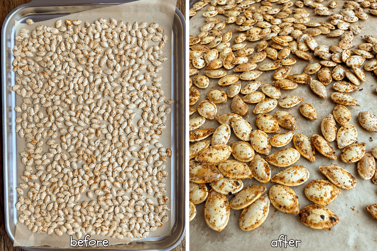 Spicy Roasted Pumpkin Seeds with Paprika, Cayenne & Garlic Spicy Roasted Pumpkin Seeds with Paprika, Cayenne & Garlic - before and after roasting.