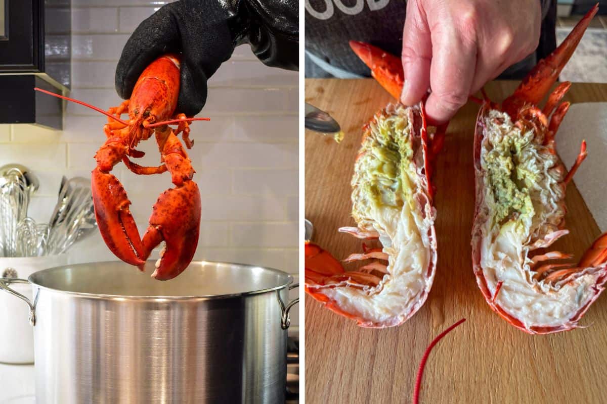 Boil and slice the lobsters in half.