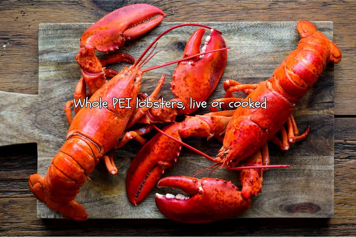 Two boiled lobsters from PEI.