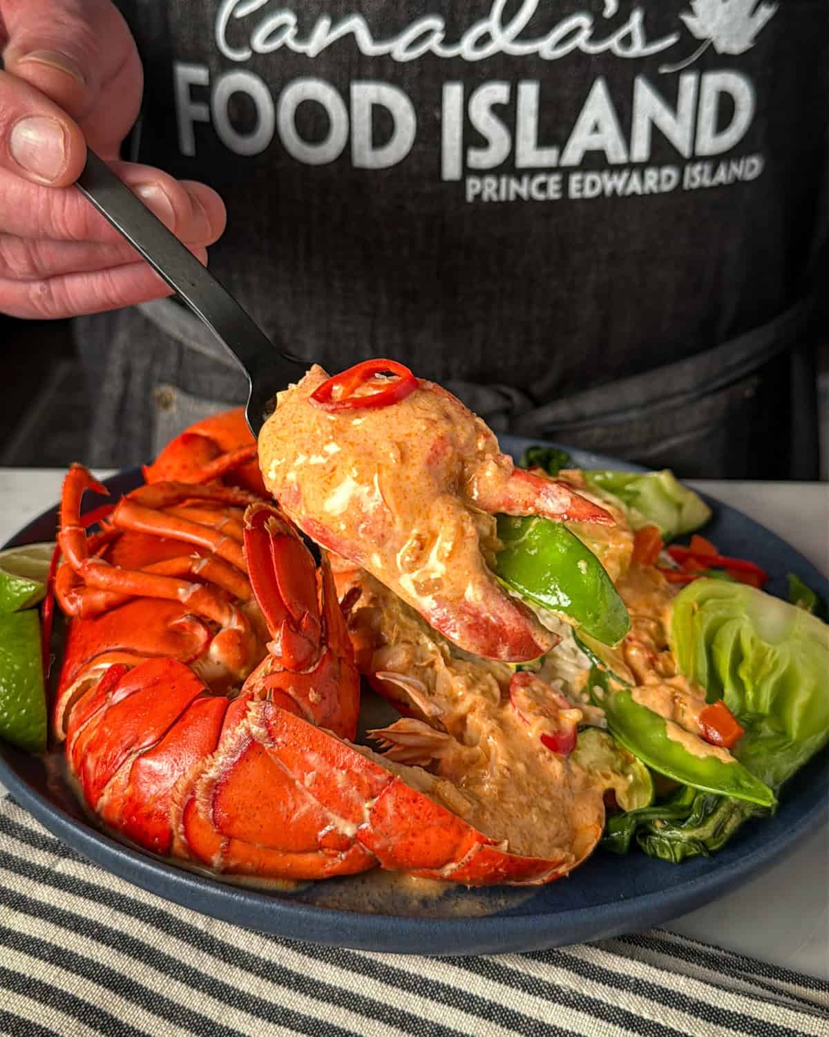 A plated coconut curry lobster with veggies and rice.