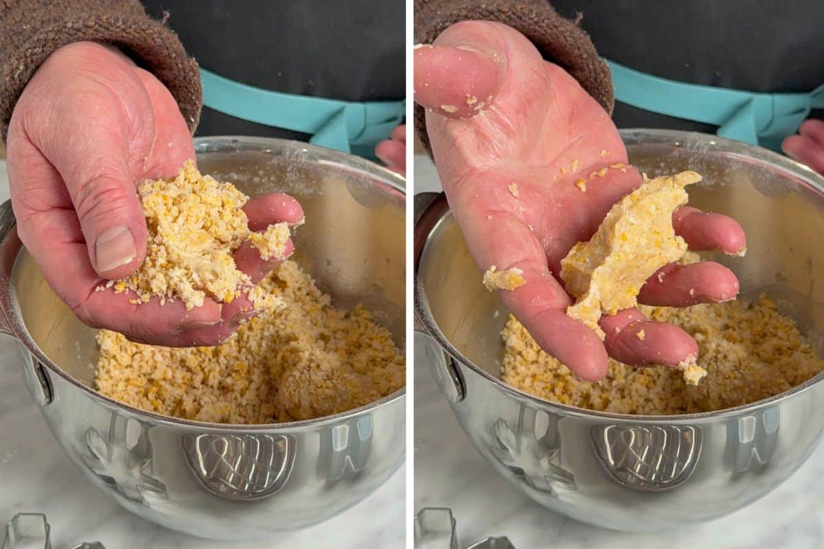 Add milk just until the dough holds together when squeezed.