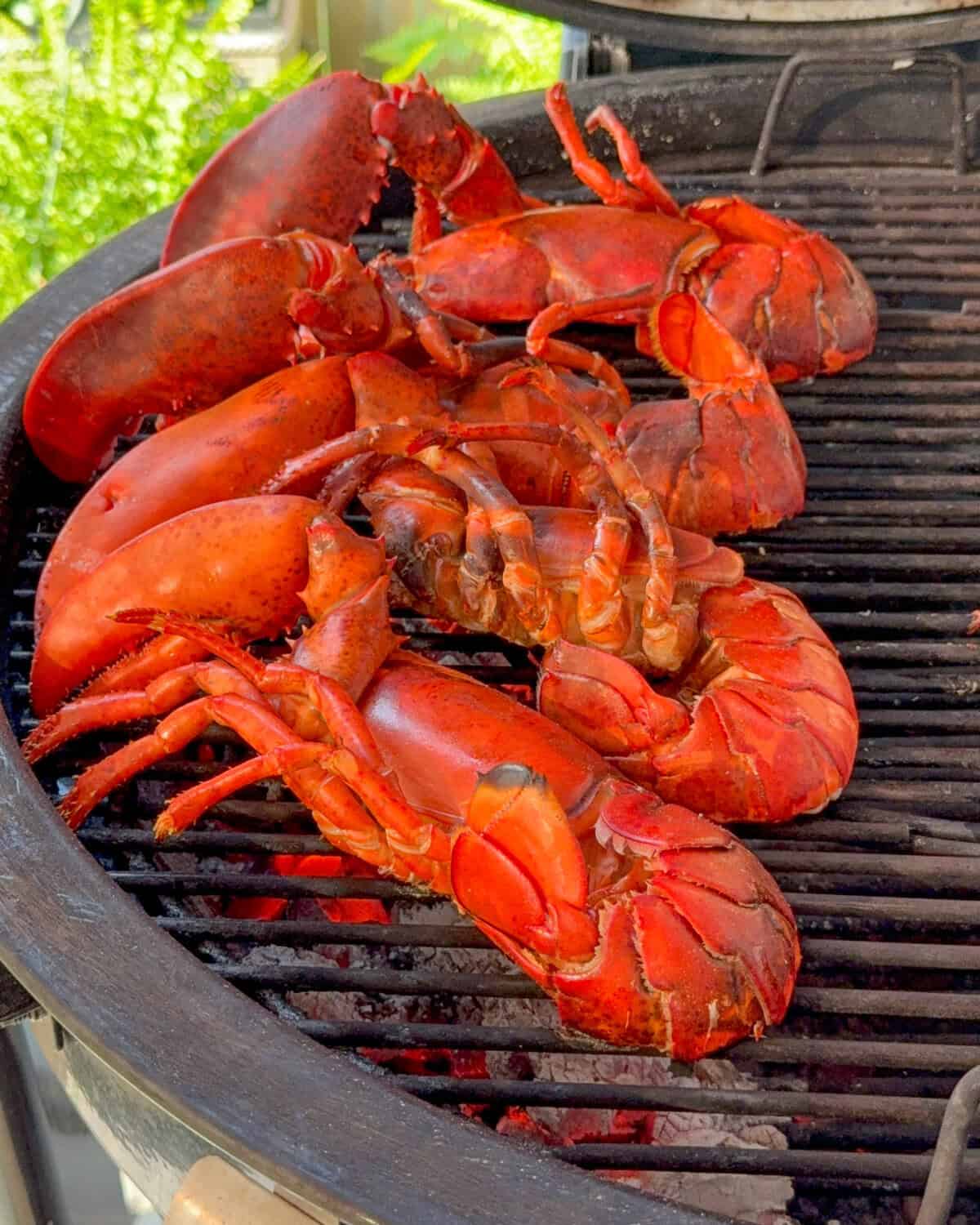 Place the four blanched lobster halves, meat-side down, over the direct heat zone.