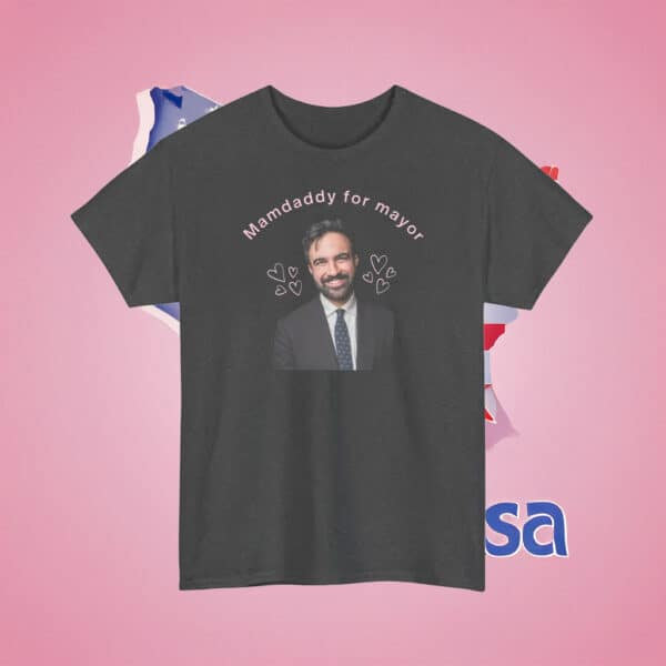 Zohran Mamdani Cute Political Tee, Mamdaddy for Mayor Shirt