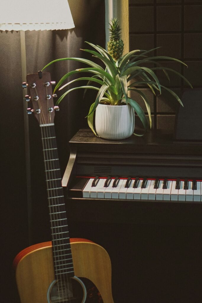 A guitar and keyboard are shown.