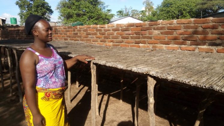 Woman inspecting a fish drying rack in Malawi, highlighting overfishing issues.