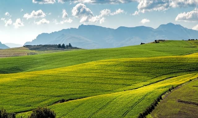 How Protecting Your Crops is Vital for Your Business Success