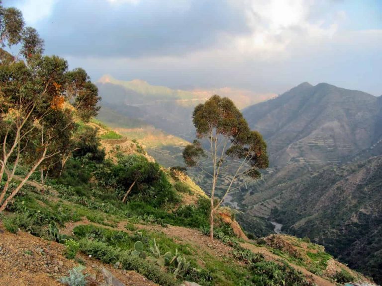 Scenic mountain landscape in Eritrea with lush greenery and rolling hills.
