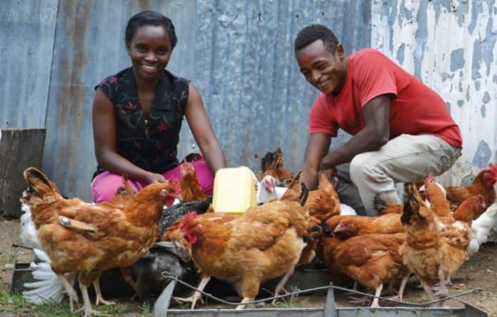 Farmers training to improve food security and poultry farming in East Africa.