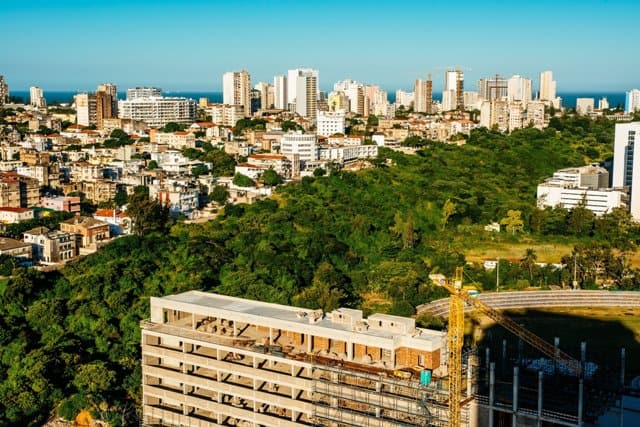 Competing Stories In Brooklyn And Mozambique