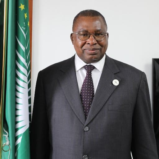 With The Continental Free Trade Area, We Are Creating Our Own Future