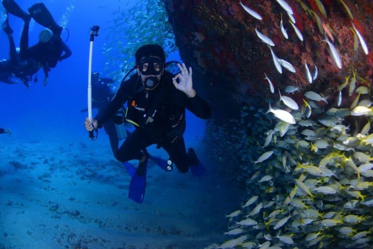 10 Most Beautiful Dive Sites In Mozambique