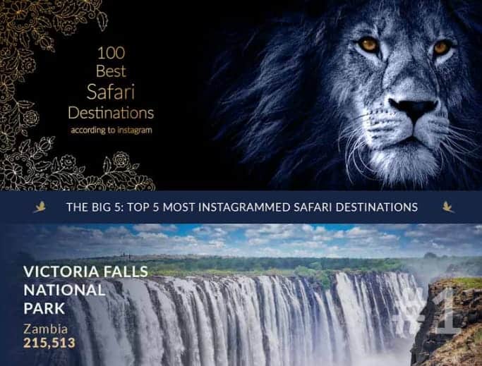 Best safari destinations in Africa for stunning wildlife photos and adventure.