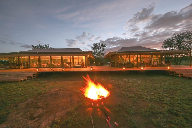Kenya Vs. Tanzania – What Is The Best Place To Go On Safari