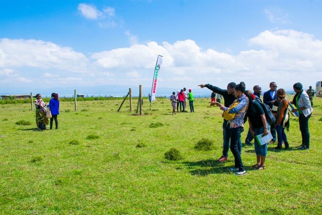 Top 5 Areas With Affordable Properties In Kenya