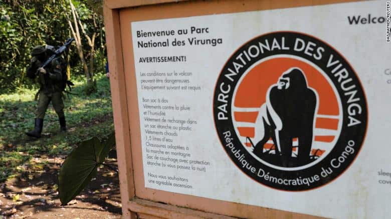 Cause for Concern as DRC’s Wildlife Guardians Killed