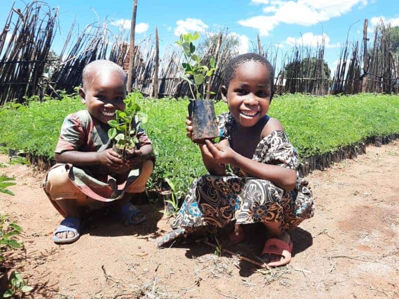 Children planting young trees to promote reforestation and environmental conservation in Africa.