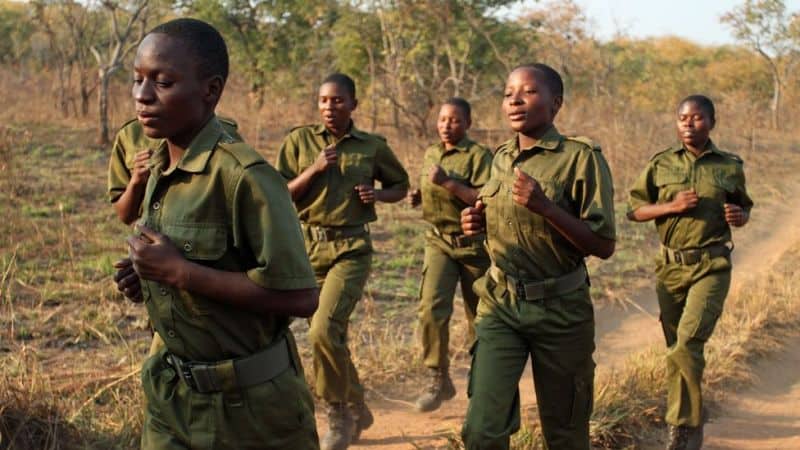 Zimbabwe Hopes Female Squad can Eliminate Poaching