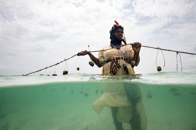 Zanzibari Women Take Advantage of a Changing Climate