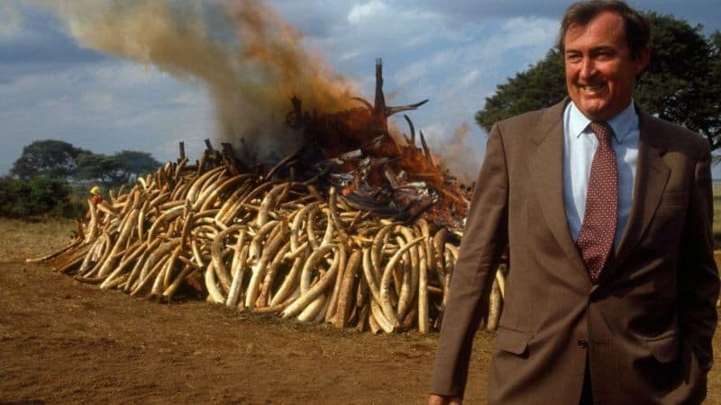 A Legendary Paleoanthropologist whose Discoveries Helped Prove that Humanity Evolved in Africa