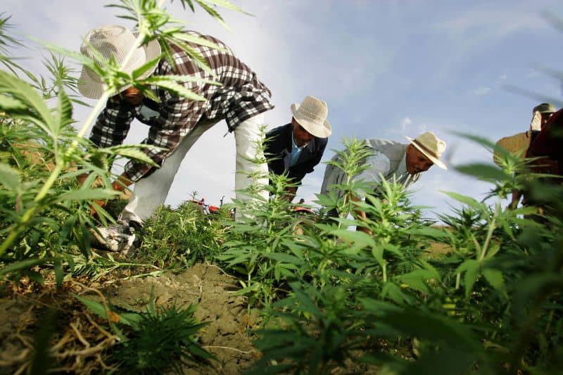A Panacea for Economic Growth in Africa